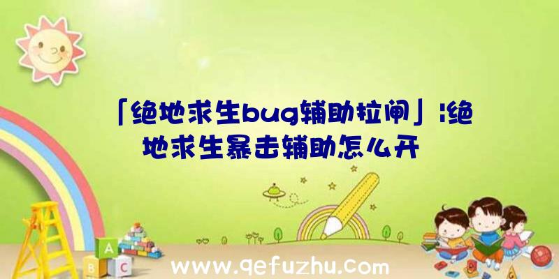 「绝地求生bug辅助拉闸」|绝地求生暴击辅助怎么开